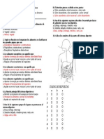 Evaluacion Clasificacion de Los Alimentos