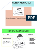 pentingnya menyusui