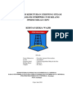 Everaldo Antonio Futwembun-KKW-REF II-2016 PDF