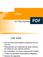 virus 2