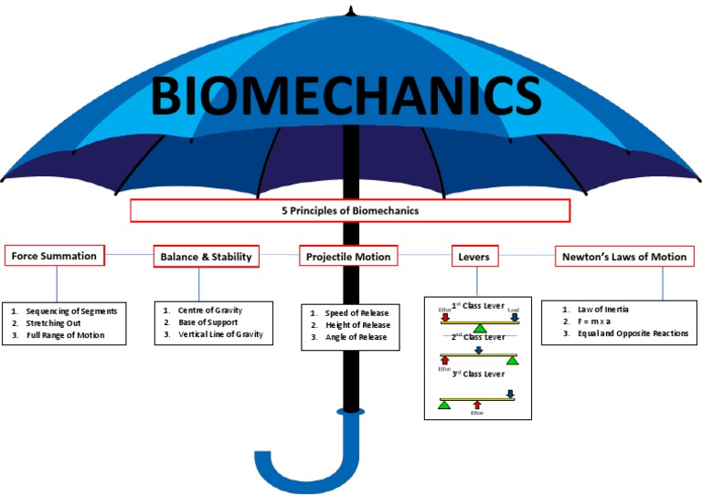 Biomechanics: Principles and Motion | PDF | Science & Mathematics