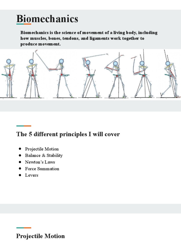Biomechanics PDF Lever Force