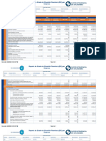RPT - EstadoSituacionFinanciera - Empresa (1) PROSALON