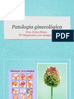 Gineco DX Imagenes PDF