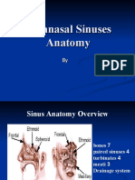 Paranasal Sinuses Anatomy