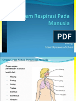presentasi-sistem-pernafasan-2