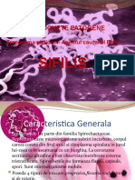 Spirochete Patogene, Sifilisul
