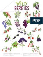 1 Wild Berries Guide
