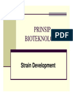 Mipa - PB Slide Strain Development