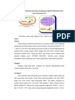 Perbedaan Translasi Pada Makhluk Hidup Prokaryote Dan Eukaryote