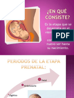 Etapa Prenatal