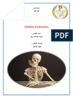 Anatomy Report