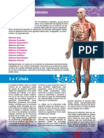 EL CUERPO HUMANO 2.pdf