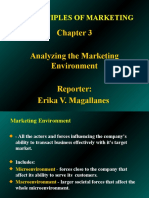 Chapter 3 MKTG (Erika Magallanes)