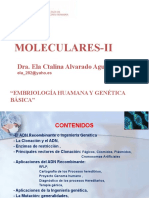Bases Moleculares-Ii