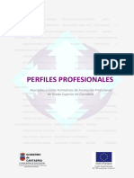 Perfiles Profesionales FP GS PDF