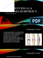 Introduccion A La Anatomia Quirurgica