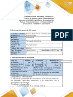 Guía de Actividades y Rúbrica de Evaluación - Paso 1 - Funcionamiento Corteza Cerebral y Funciones Cerebrales Superiores