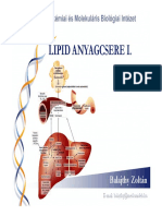 06 01 BIOKEMIA LIPID Anyadcsere I HU 2014 PDF