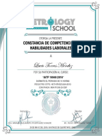 Constancia IATF 16949 - Lucio Torres Méndez PDF