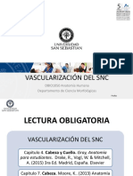 Clase 34 Vascularización del SNC_DBIO1050.pdf