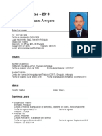 CV - William Vásquez Cayetano