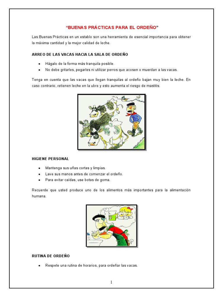 Buenas Prácticas de Ordeño Efectivas | PDF | Leche | Vacas