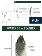 How To Draw A Feather