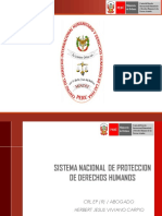 Sistema Nacional de Proteccion de DDHH 2020