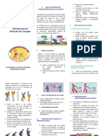 Manipulacion de Cargas