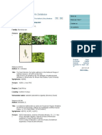 Prelude Medicinal Plants Database: Search Practical Guide Contact The Authors Grey Literature