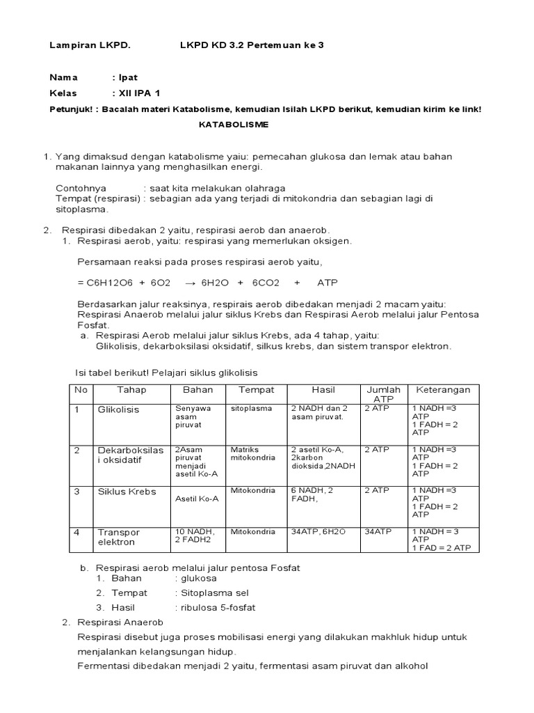 IPAT | PDF