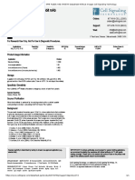 Pdx1 (D59H3) XP Rabbit Mab