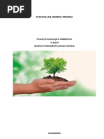 PROJETO EDUCAÇÃO AMBIENTAL 1º AO 5 ANOS INICIAIS - PASCHOALINAMOREIRA PEDROSA (1).docx
