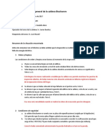 Informe de Inspección General de La Caldera Biochamm - 20171123 (Auto)