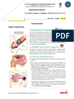 GUIA DE CIENCIAS 8 - 24agosto - Al - 3 - Septiembre