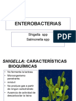 salmonella y shigella clase.pdf