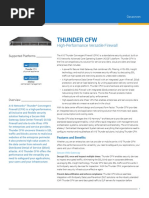 Thunder CFW: High-Performance Versatile Firewall