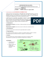 Naturales 5 Jueves 13 Agosto