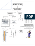 Mapa Conceptual (Guia 2)