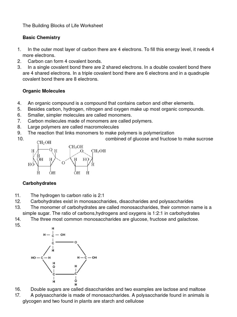 Building blocks of life WORD  Carbohydrates  Fat
