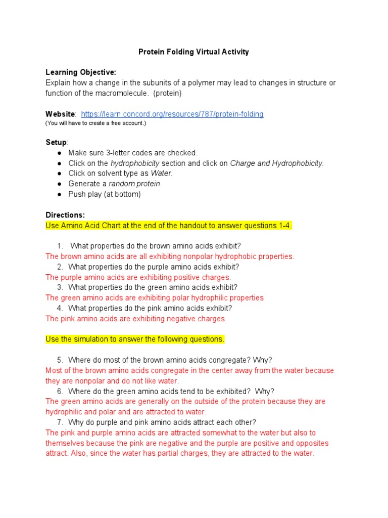 Protein Folding Virtual Activity 1 PDF Hydrophile Amino Acid