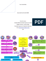 mapa mental nueva gestion publica.pdf