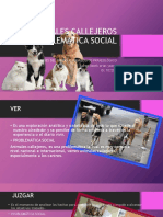 Fases Del Enfoque Pedagógico Praxeológico PDF