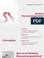 Sistema Musculoesqueletico