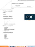 Anatomia de Pupila PDF
