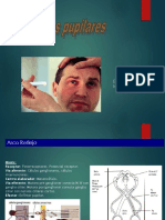 Exploraciondepupilas 141019143633 Conversion Gate01 PDF