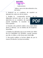 Español Indicaciones PDF