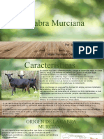 La Cabra Murciana