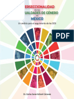 Interseccionalidad_de_las_desigualdades_de_genero_en_Meexico_WEB_FINAL.pdf